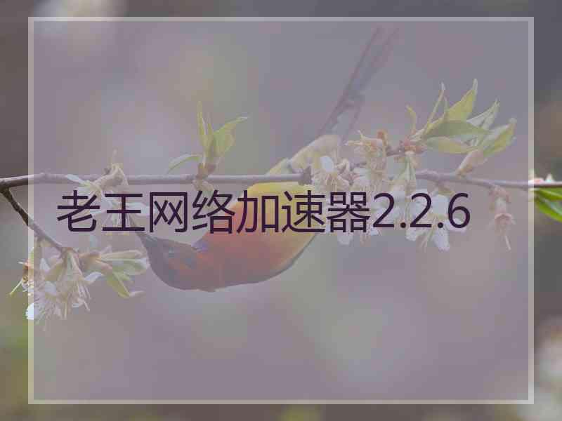 老王网络加速器2.2.6