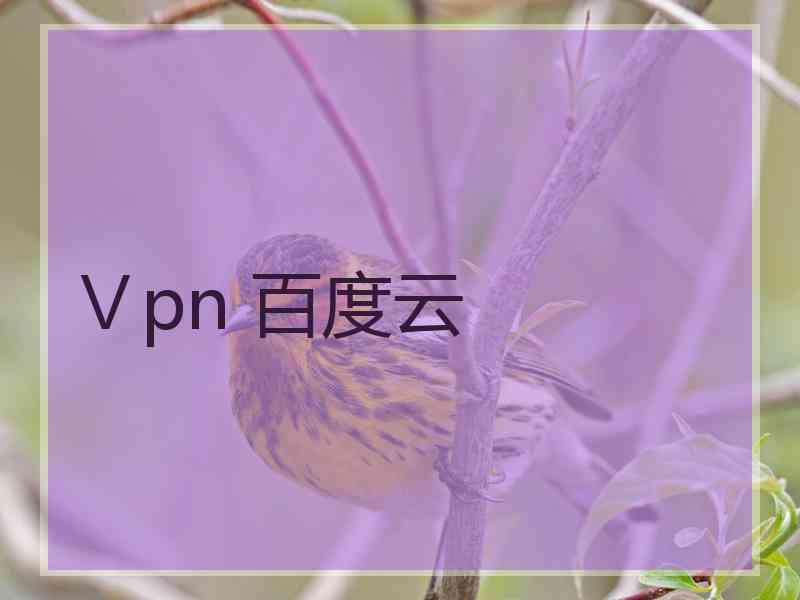 Ⅴpn 百度云