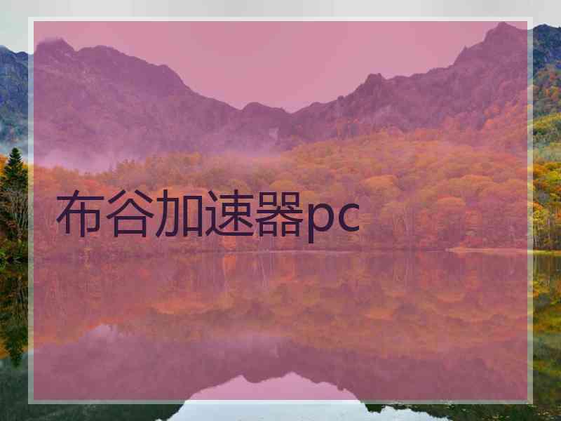 布谷加速器pc