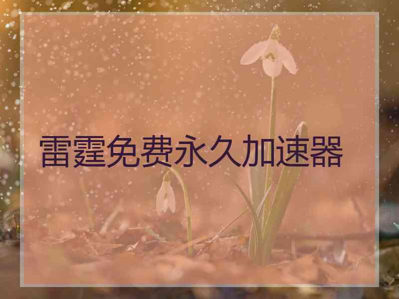 雷霆免费永久加速器