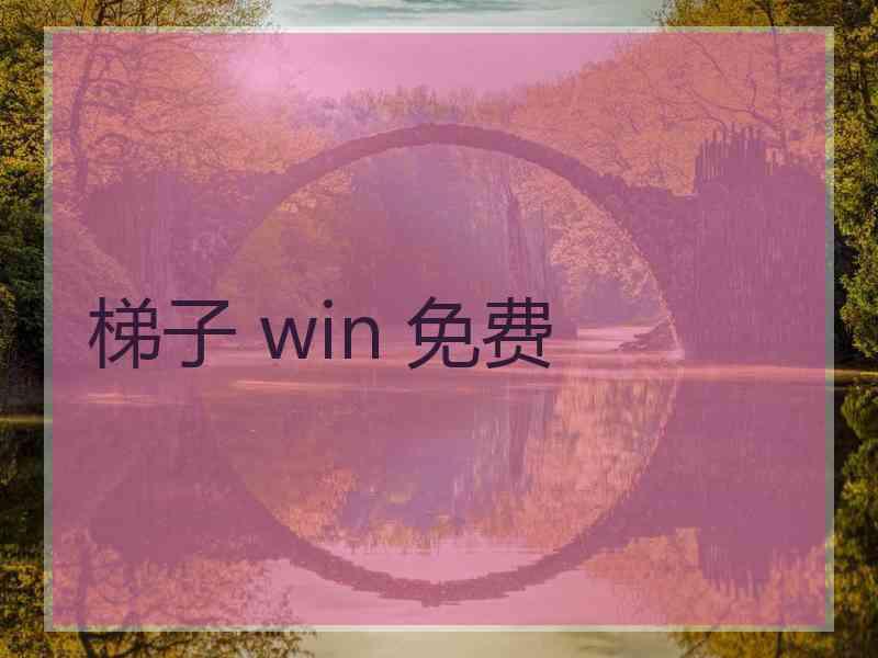 梯子 win 免费