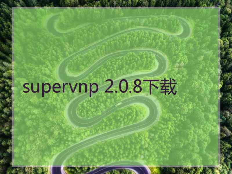 supervnp 2.0.8下载