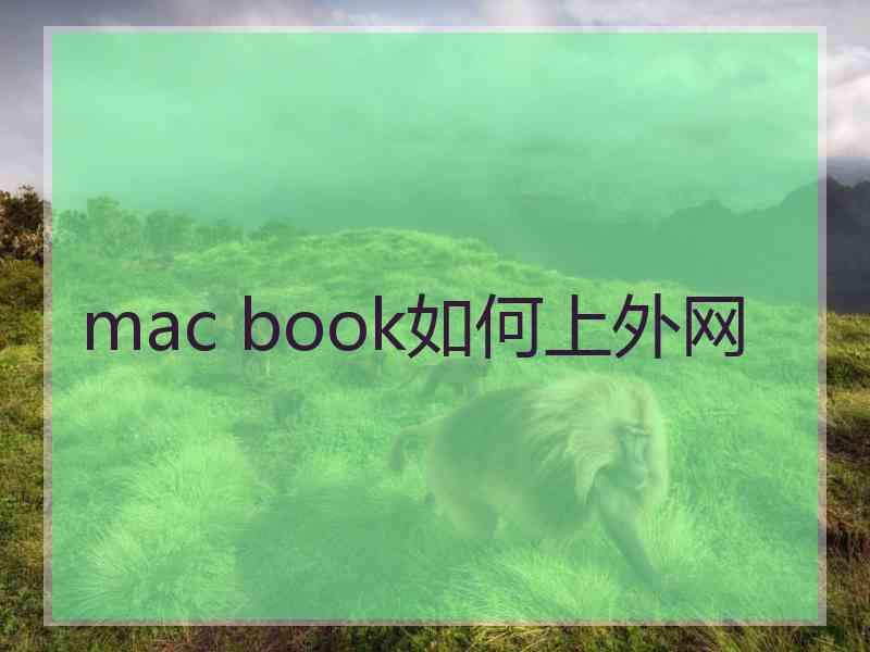 mac book如何上外网