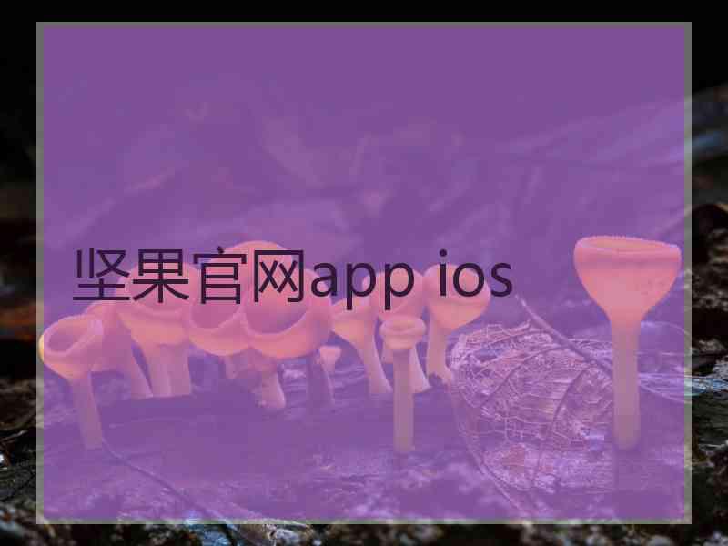 坚果官网app ios