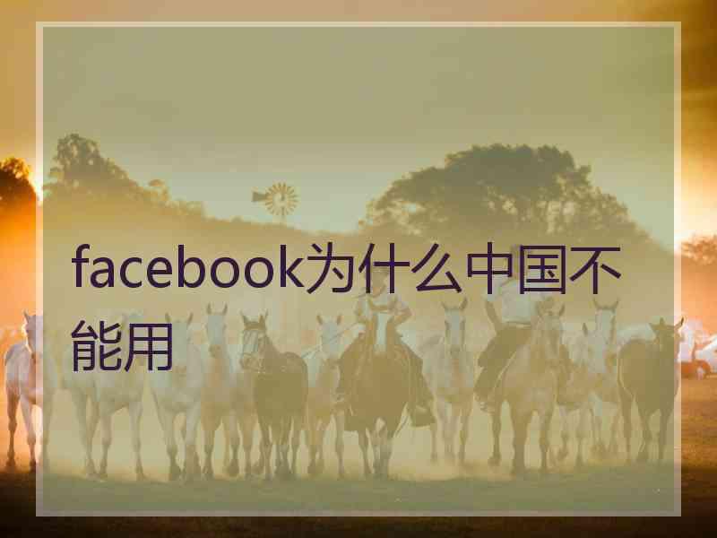 facebook为什么中国不能用