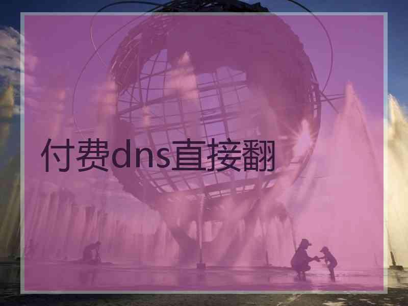 付费dns直接翻