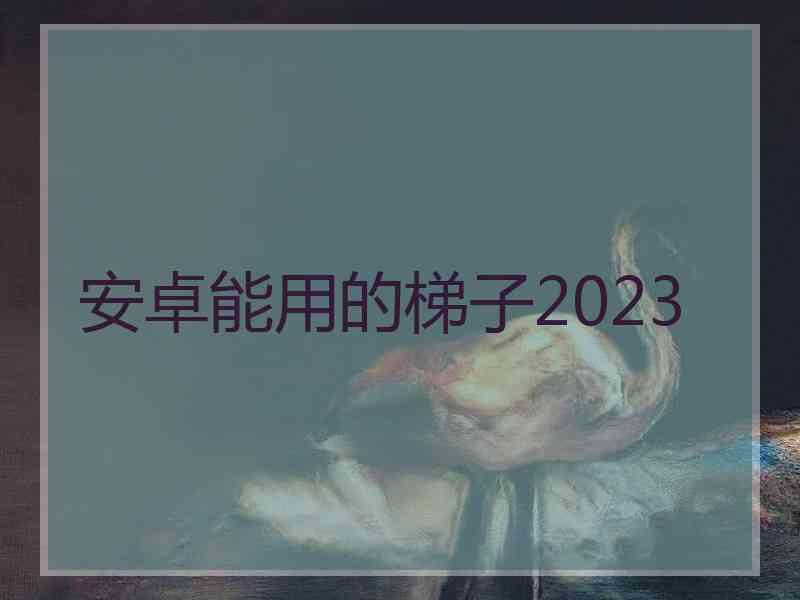 安卓能用的梯子2023