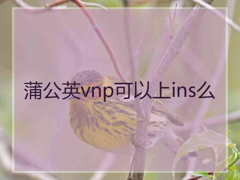 蒲公英vnp可以上ins么