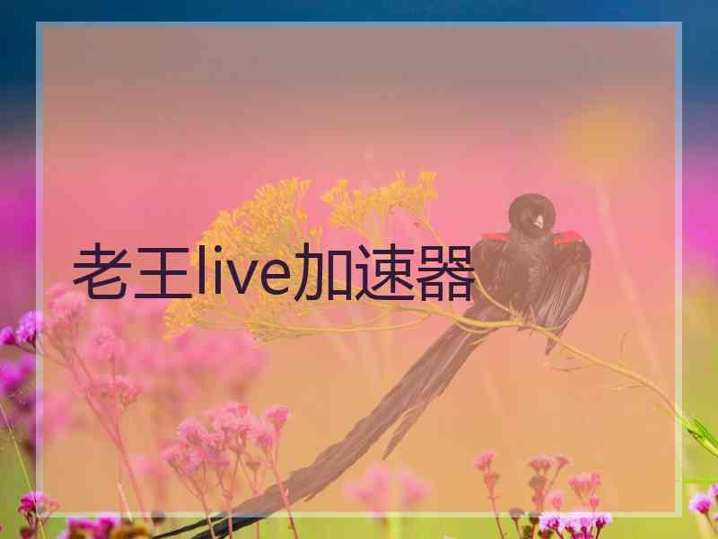 老王live加速器