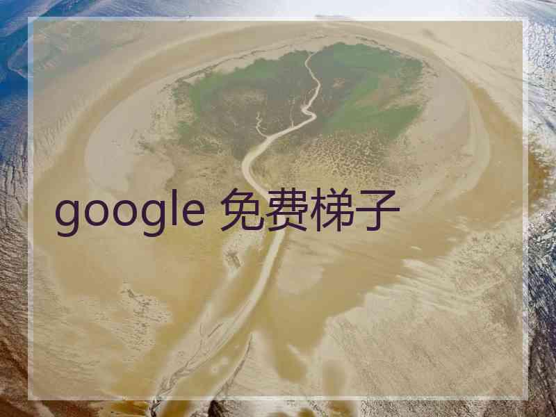 google 免费梯子