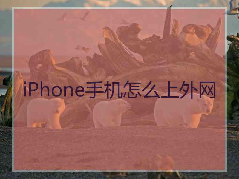 iPhone手机怎么上外网