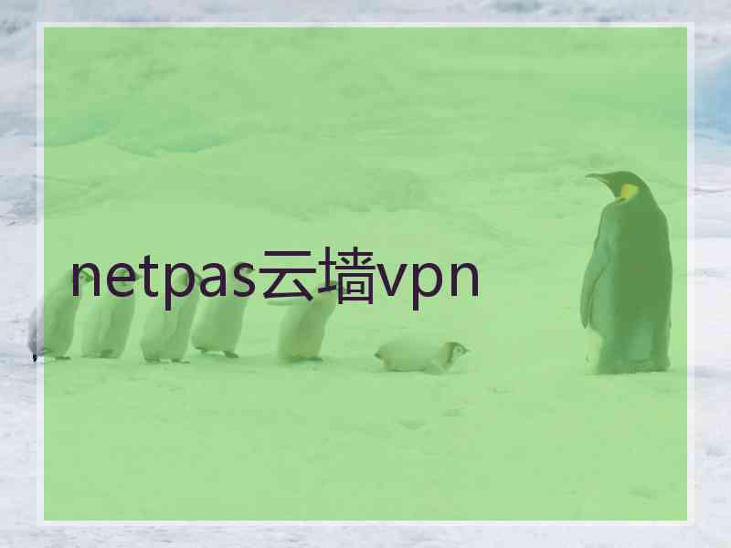 netpas云墙vpn