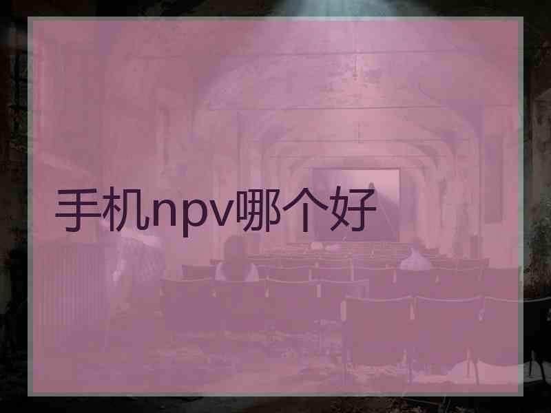 手机npv哪个好