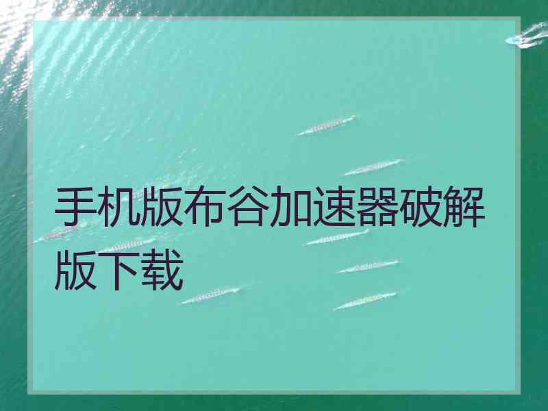 手机版布谷加速器破解版下载