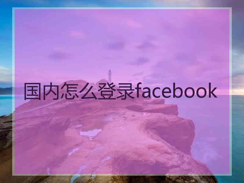 国内怎么登录facebook