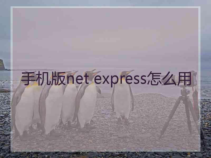 手机版net express怎么用