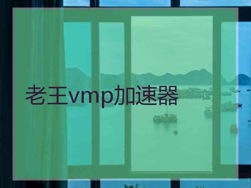 老王vmp加速器