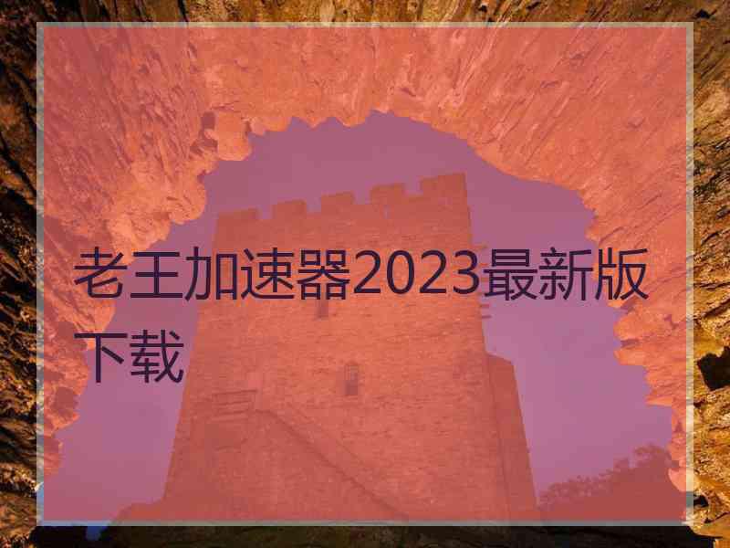 老王加速器2023最新版下载