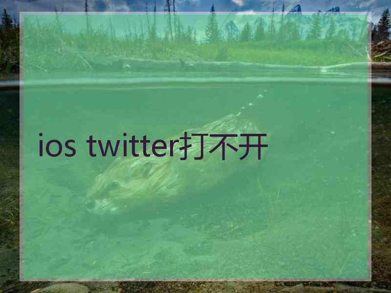 ios twitter打不开