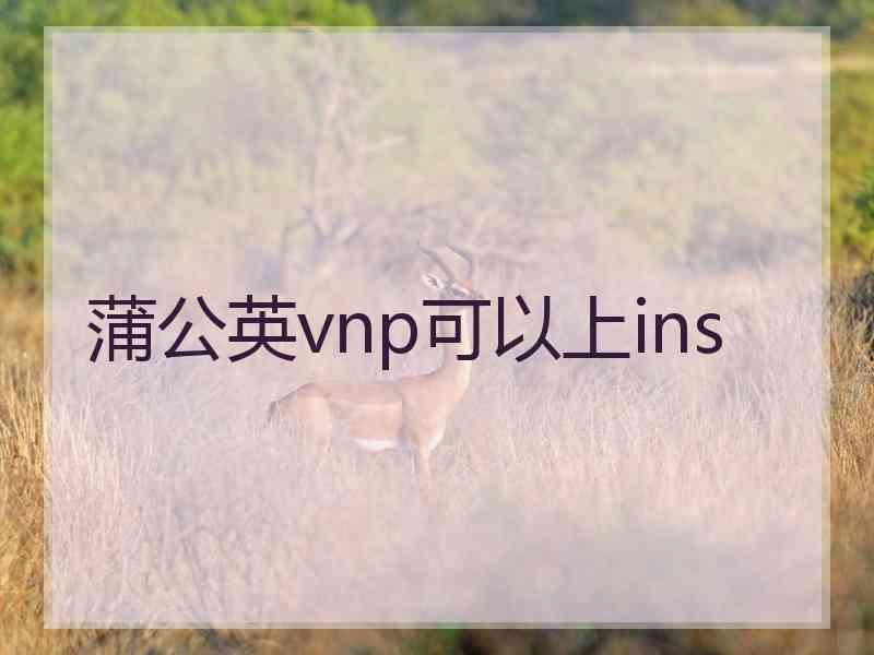 蒲公英vnp可以上ins