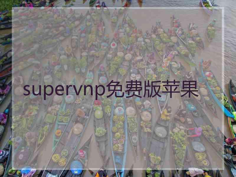 supervnp免费版苹果