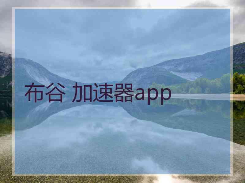 布谷 加速器app