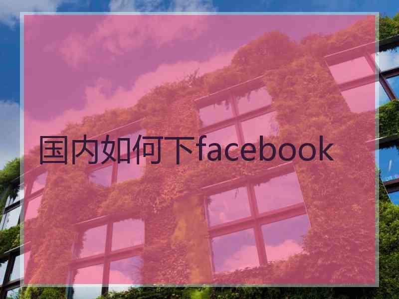 国内如何下facebook