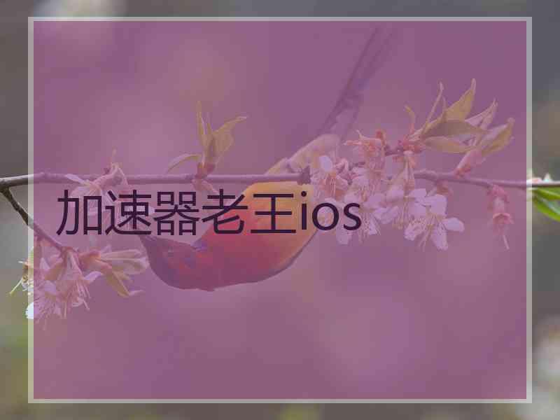 加速器老王ios