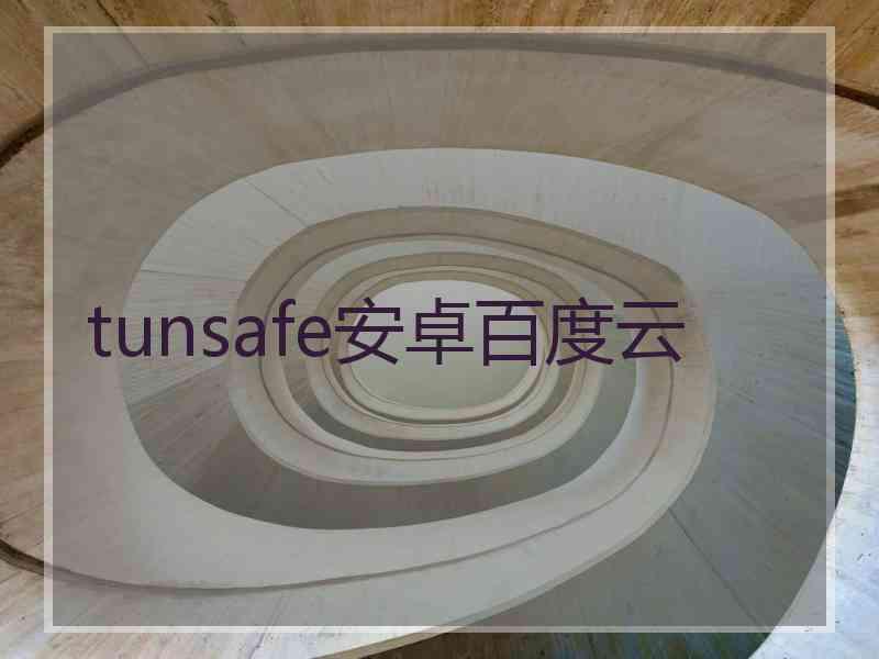 tunsafe安卓百度云