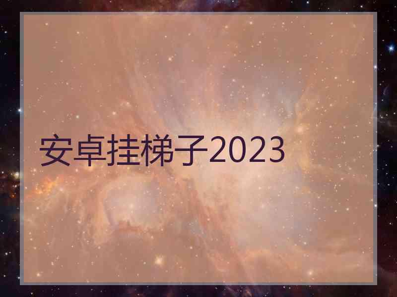 安卓挂梯子2023