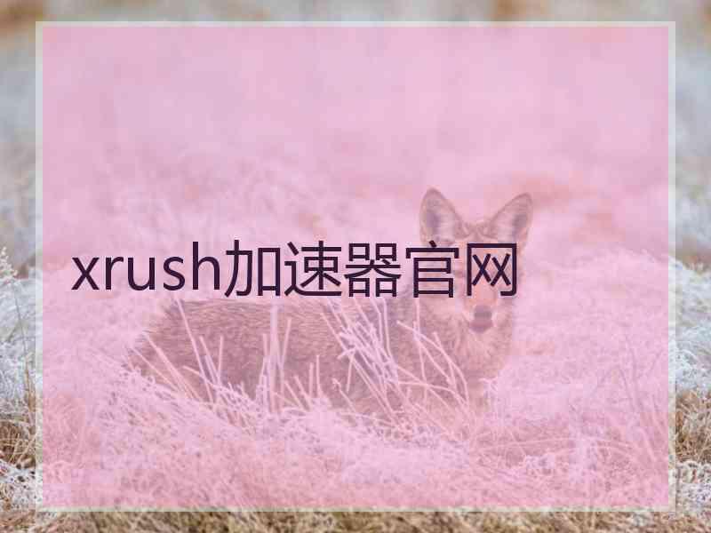 xrush加速器官网