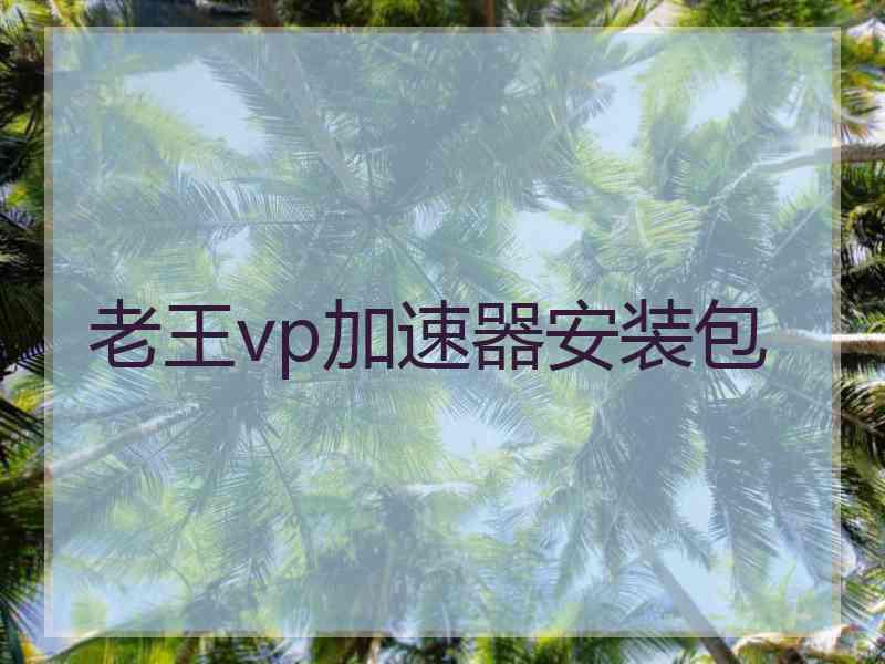 老王vp加速器安装包