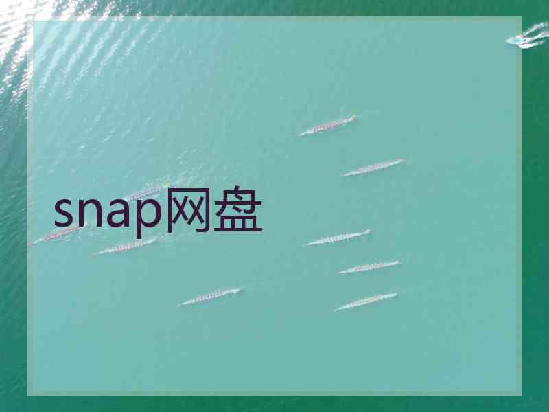 snap网盘