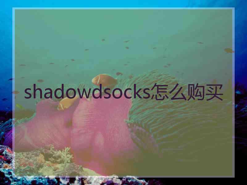 shadowdsocks怎么购买