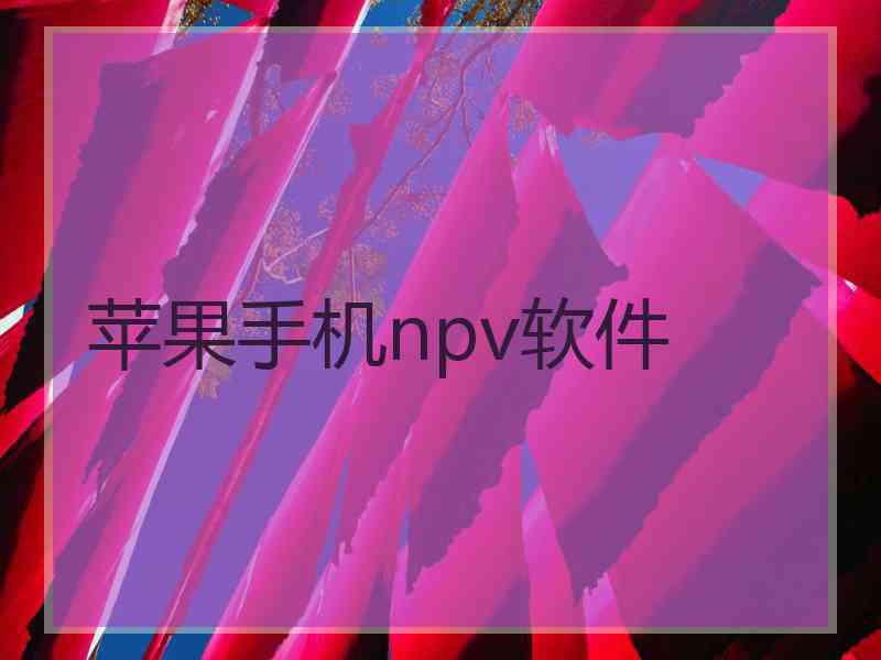 苹果手机npv软件