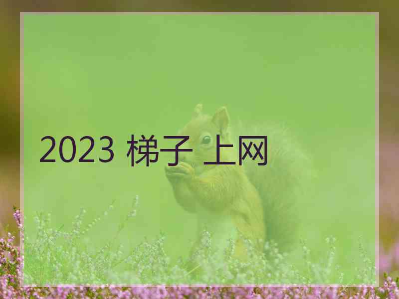 2023 梯子 上网