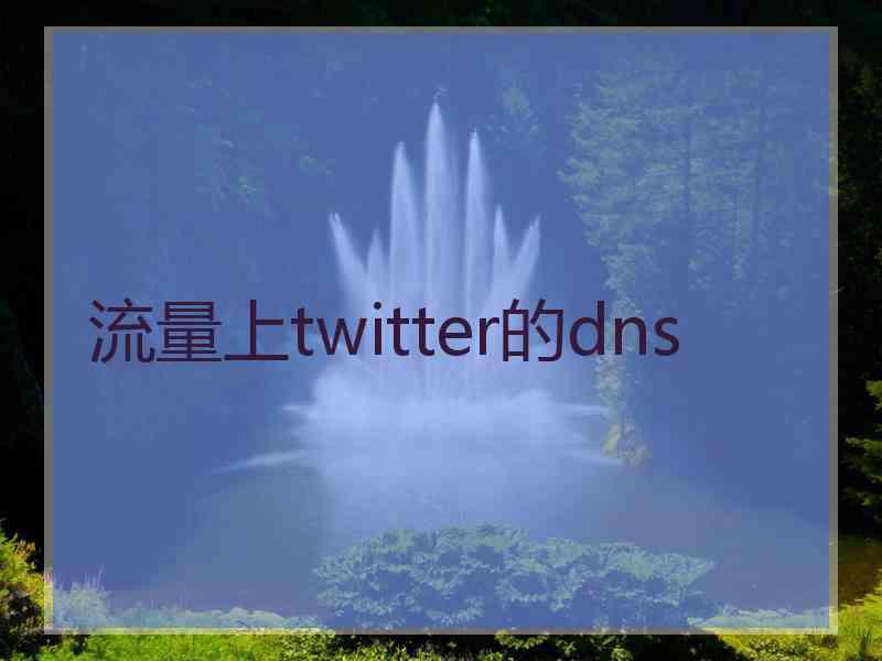 流量上twitter的dns