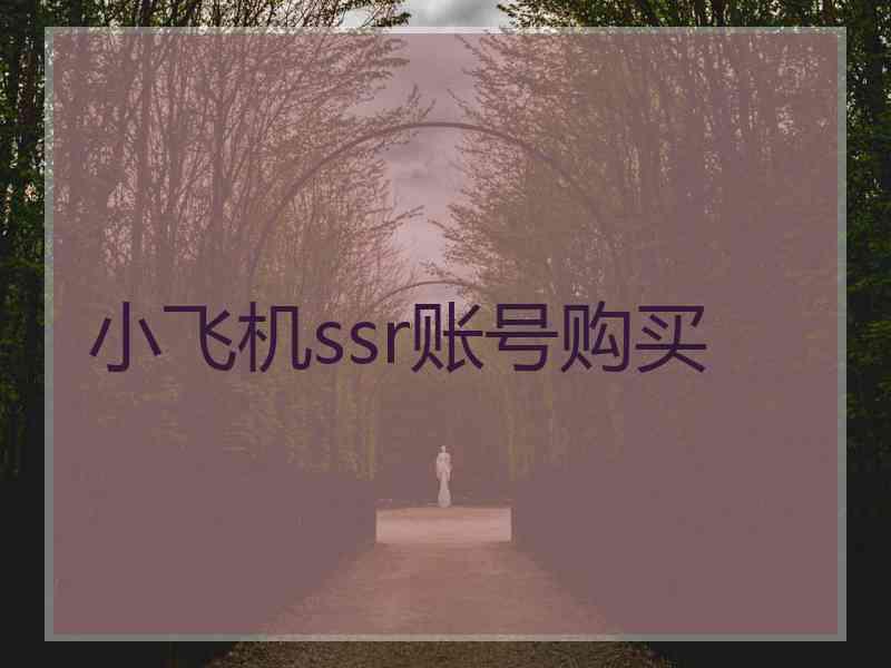 小飞机ssr账号购买