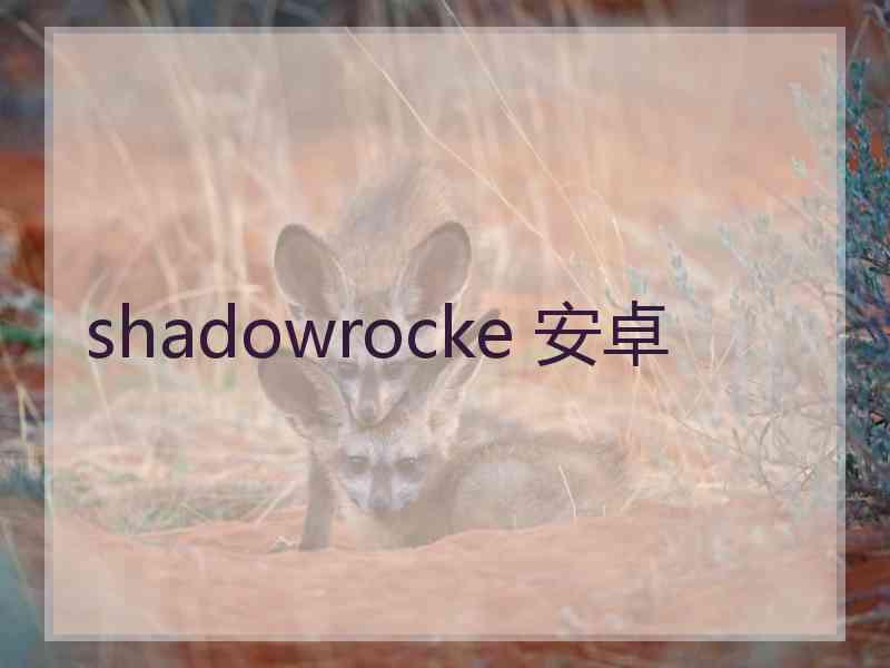 shadowrocke 安卓