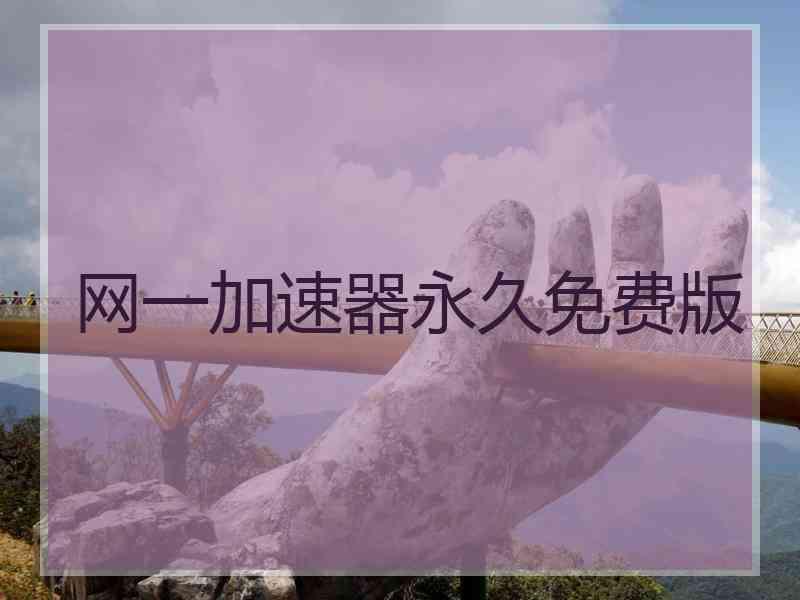 网一加速器永久免费版