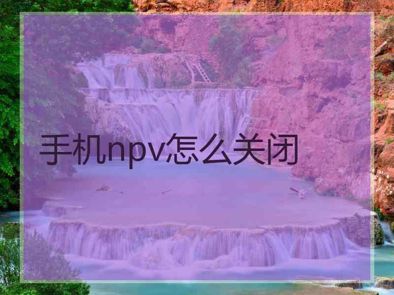 手机npv怎么关闭