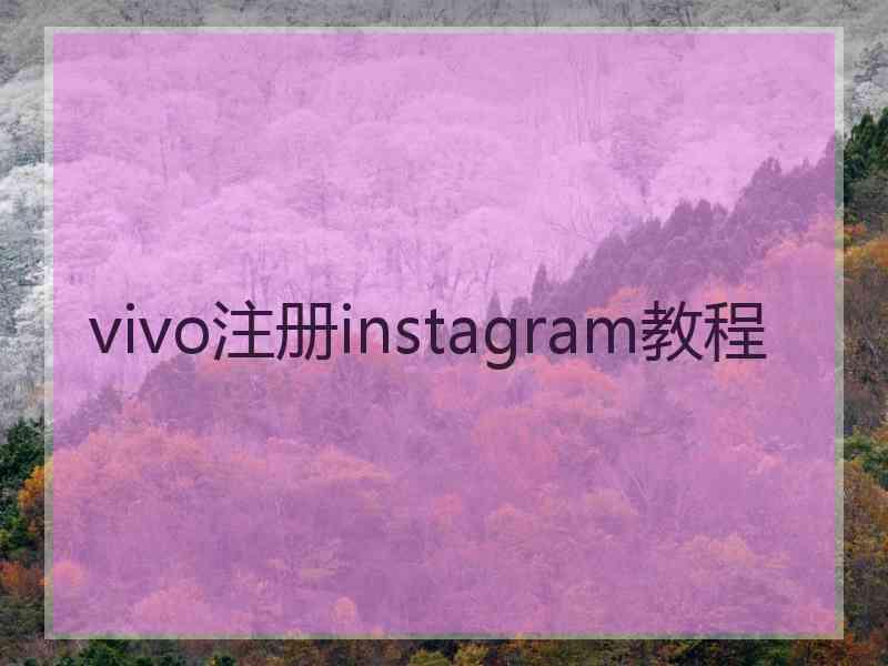 vivo注册instagram教程