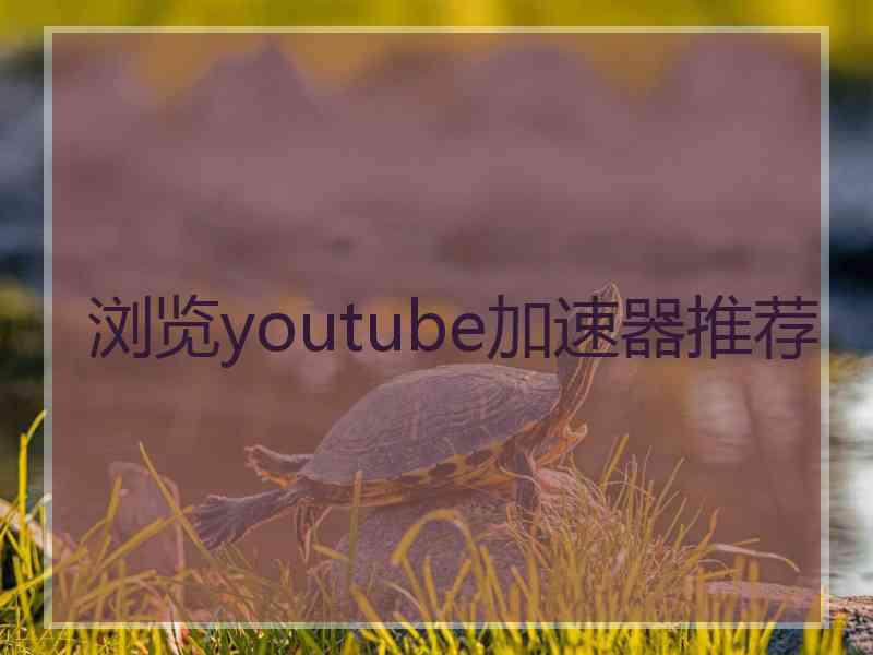 浏览youtube加速器推荐