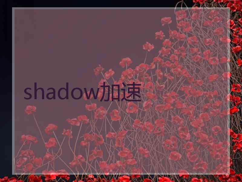 shadow加速