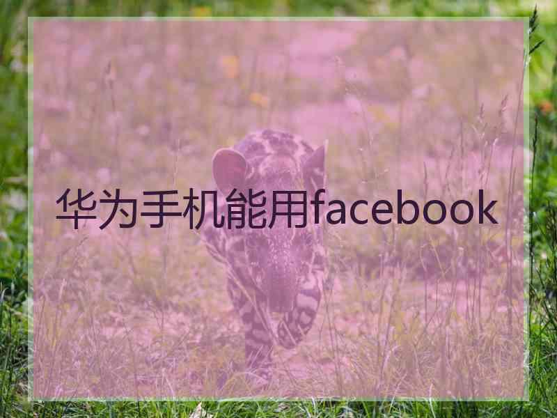 华为手机能用facebook