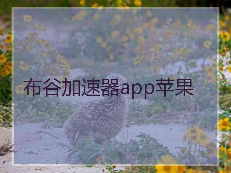 布谷加速器app苹果