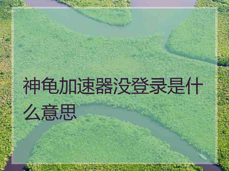 神龟加速器没登录是什么意思