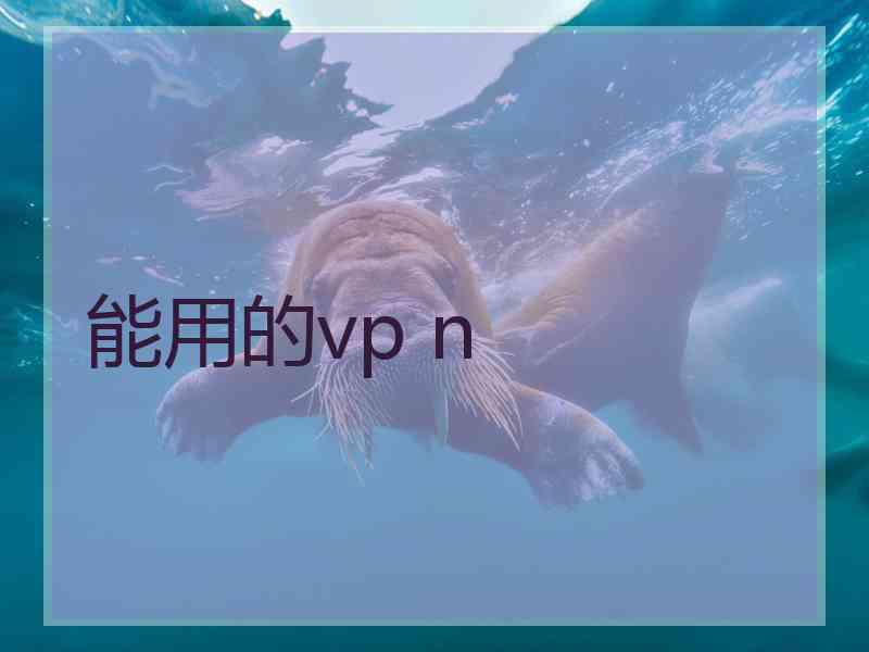 能用的vp n