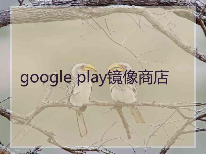 google play镜像商店