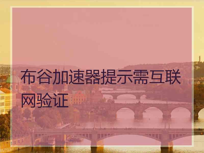 布谷加速器提示需互联网验证